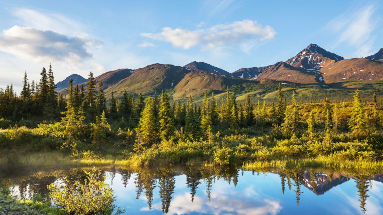 Serenity Lake, Denali National Park. Image courtesy of Insight Vacations