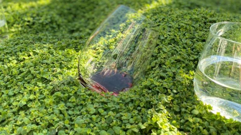 Moorilla Winery, MONA, Tasmania Moorilla Winery, MONA, Tasmania