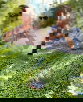 The Tastes of Tassie: Must Do Experiences with Insight Vacations