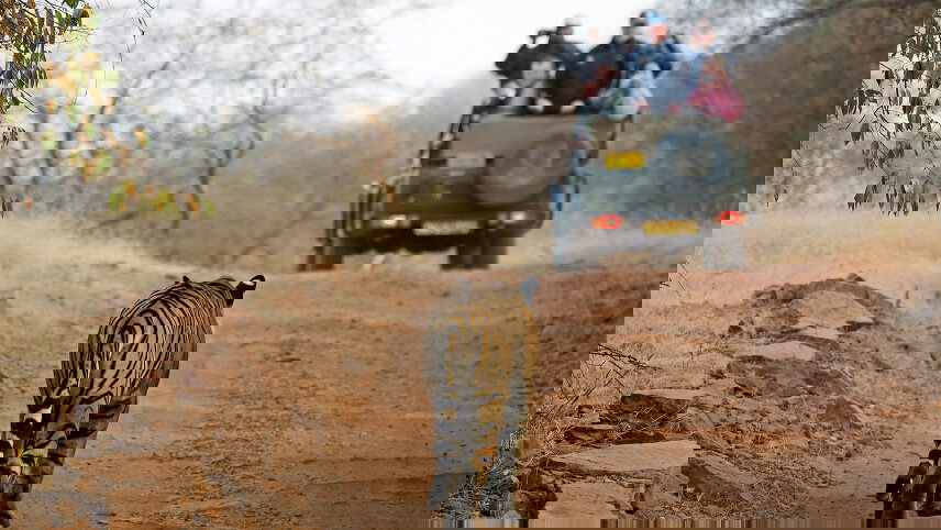 Classic India with Tiger Reserve