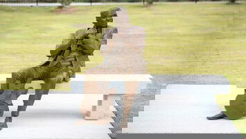 9 Day Soul of the Deep South (Insight Vacations)