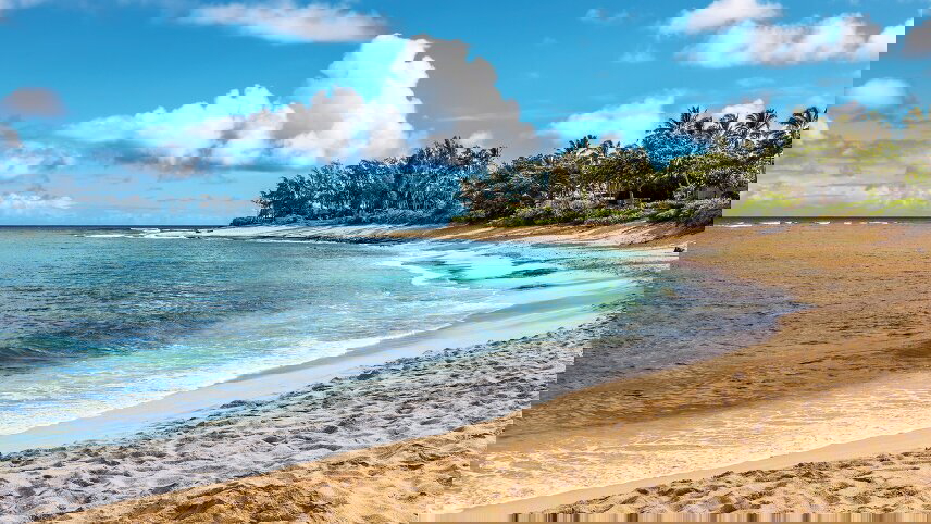 Hawaii with Oahu, Maui & the Big Island (Small Group)