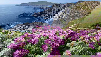 10 Day Ireland's Icons (Insight Vacations)