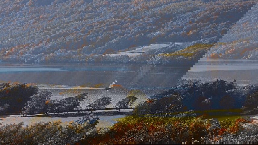 British Gardens and Chelsea Flower Show