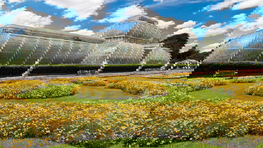 British Gardens and Chelsea Flower Show