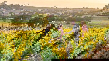 22 Day French Heritage (Insight Vacations)