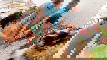 14 Day Country Roads of Southern Italy & Sicily (Small Group) (Insight Vacations)