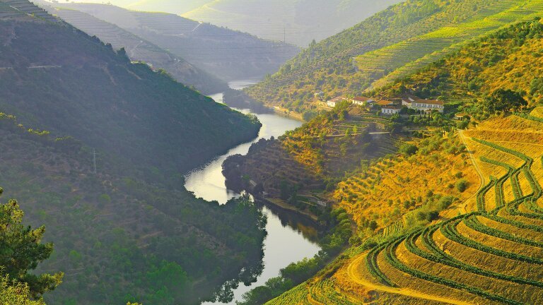 Country Roads of Portugal