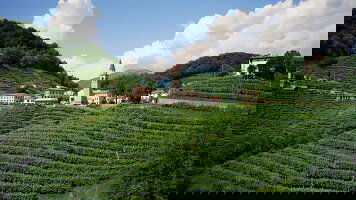 15 Day Highlights of Europe (Insight Vacations)