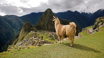 13 Day Peru with Machu Picchu & Nazca Lines (Small Group) (Insight Vacations)