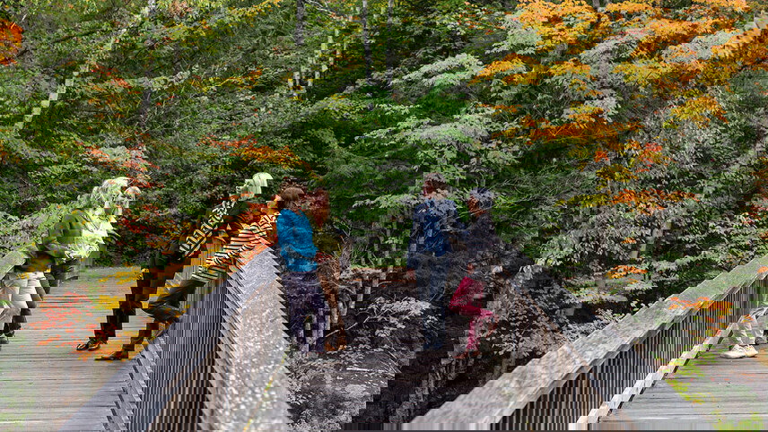 New England's Fall Foliage (Women-Only Tour)