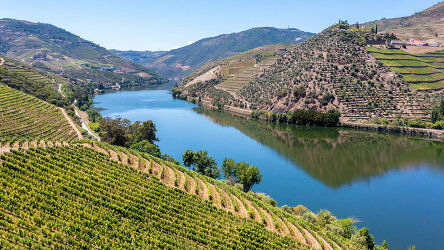 11 Day Country Roads of Portugal (Women-Only Tour) (Insight Vacations)