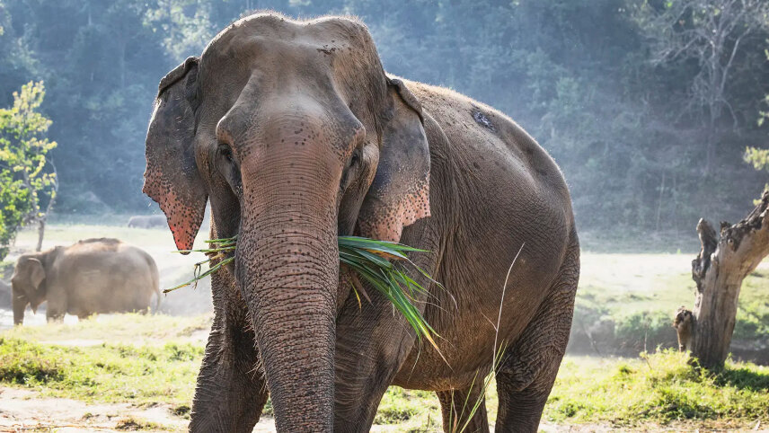 Classic Thailand (Small Group)