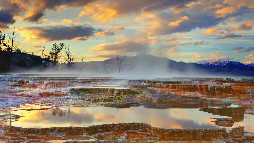 Yellowstone Winter Escape (Small Group)