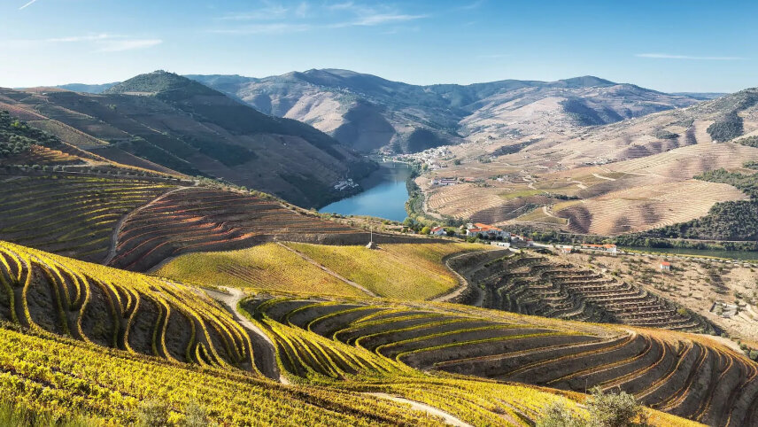 Country Roads of Portugal (Small Group)