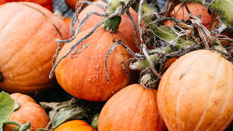Organic Produce, Royal Mail Hotel, Dunkeld, Victoria