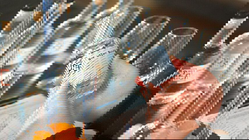 South Australia Murray River Cruise & Wine