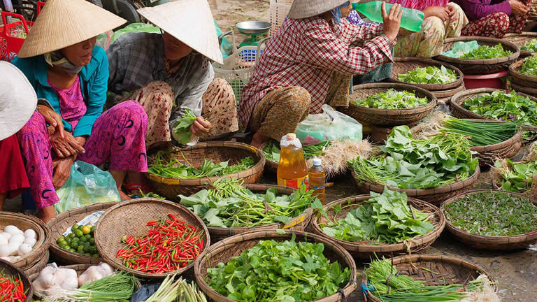 Vietnam 12 day real Food Adventure, Intrepid Travel Vietnam 12 day real Food Adventure, Intrepid Travel