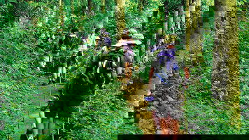 Walking and Hiking Trips