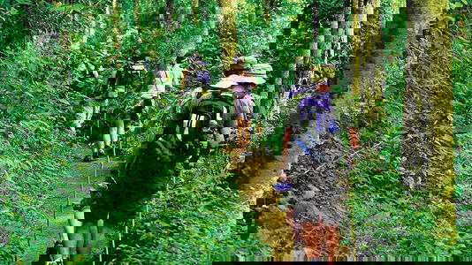 Walking and Hiking Trips