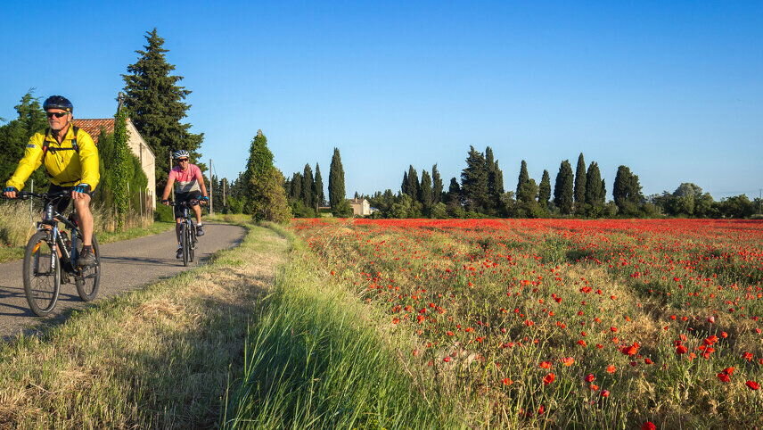 Cycle Provence
