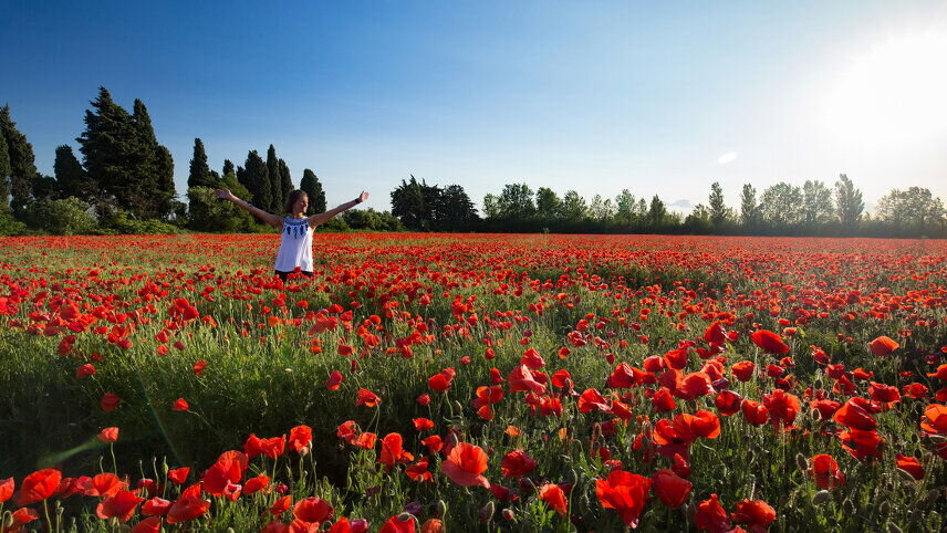 Cycle Provence