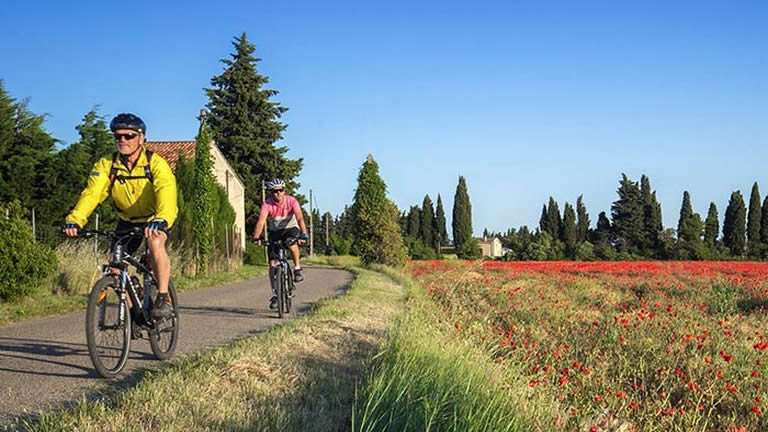Cycle Provence