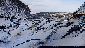 5 Day Iceland's Golden Circle in Depth (Intrepid)