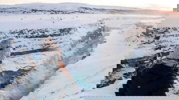 8 Day Premium Iceland in Winter (Intrepid)