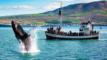 9 Day Premium Iceland (Intrepid)
