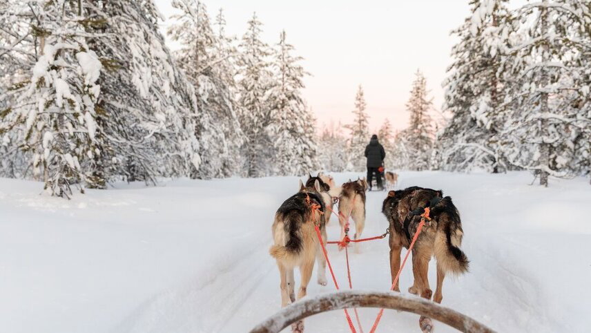 Finnish Lapland Winter Family Holiday