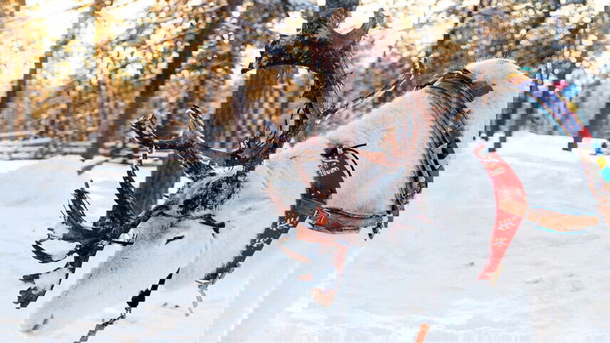 Finland Family Holiday