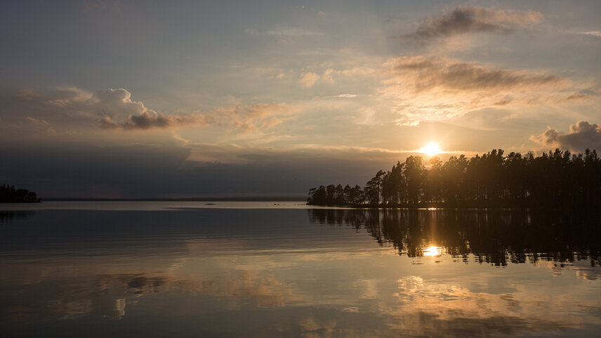 Premium Scandinavia