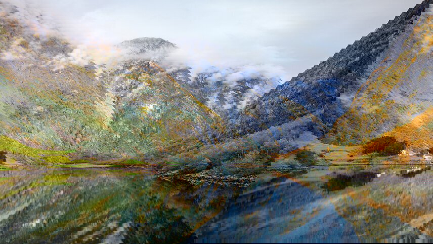 Premium Sweden and Norway