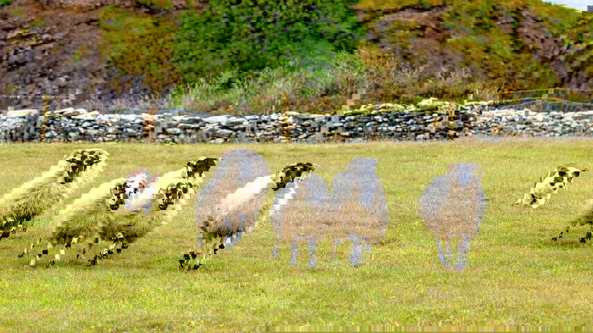 Northern & Southern Ireland