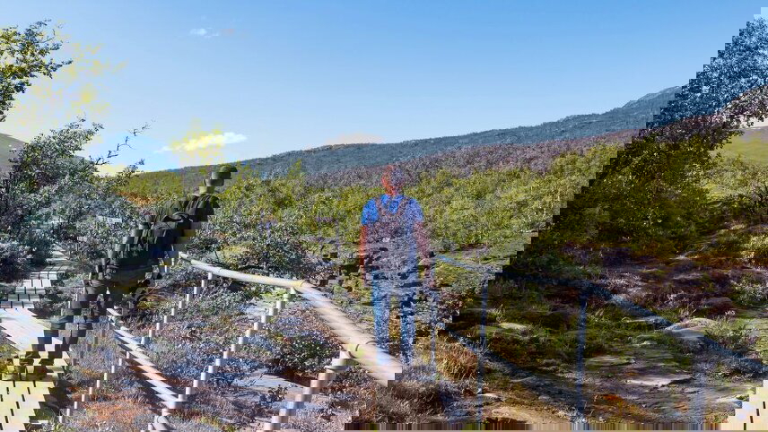 Northern Sweden by Rail