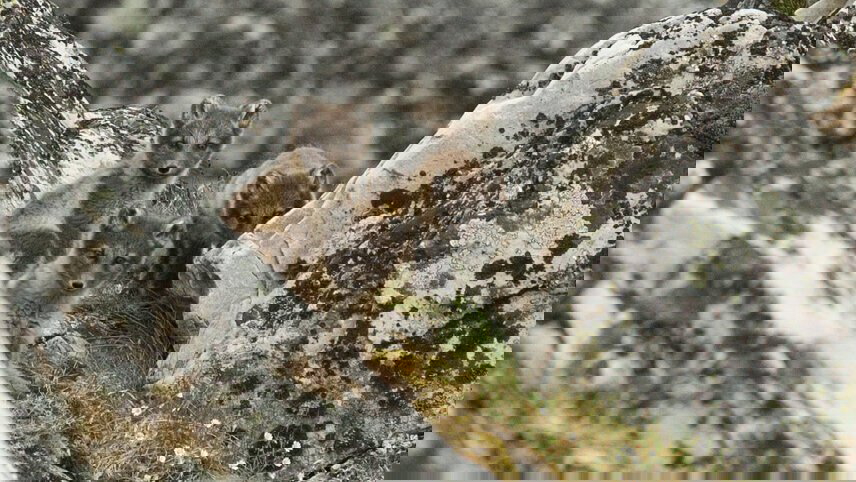 Svalbard Explorer: Best of High Arctic Norway in Depth