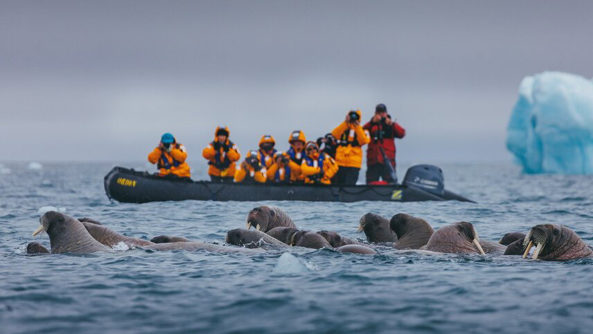 Spitsbergen Highlights: Journey into the Arctic Wilderness