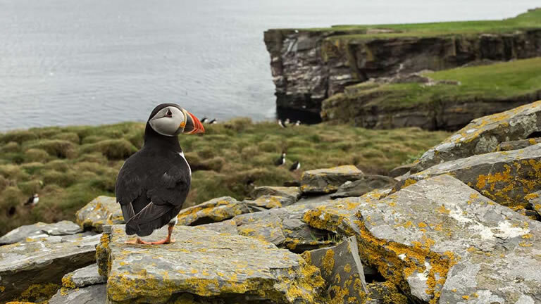Arctic Saga: Exploring Spitsbergen via the Faroes and Jan Mayen