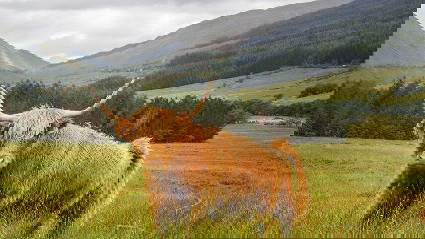 Classic Walks of Scotland