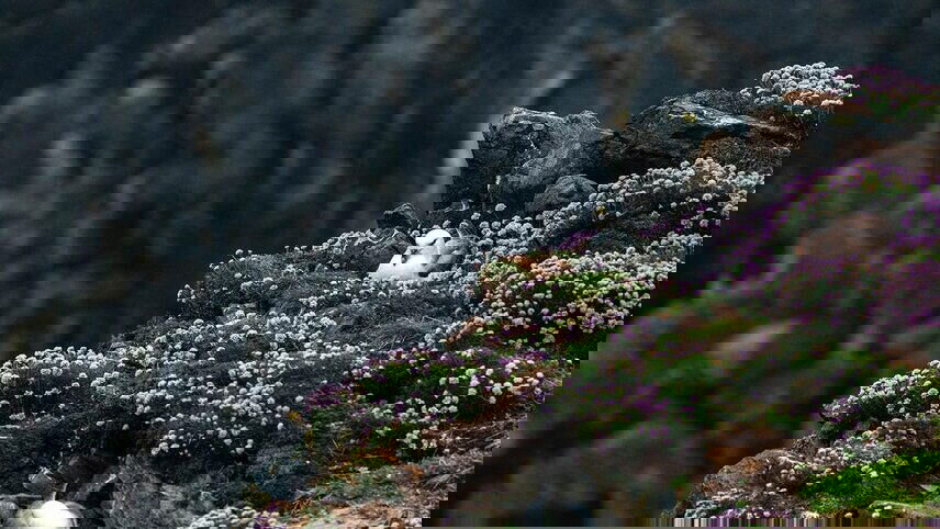 The Jewels Of Scotland (Ocean Victory)