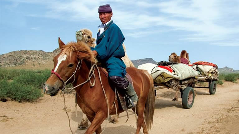 Wild Mongolia