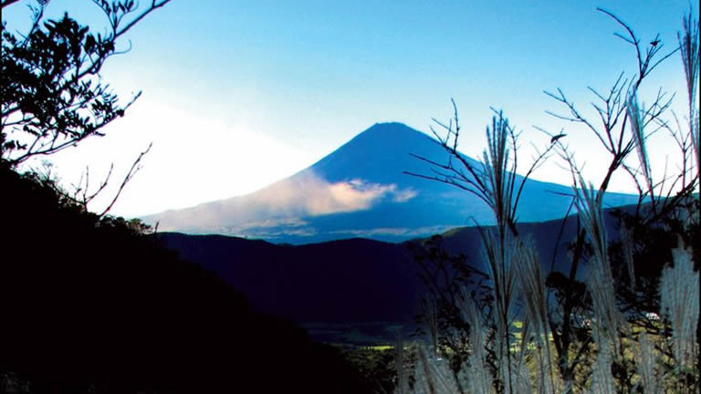 Japan Family Holiday