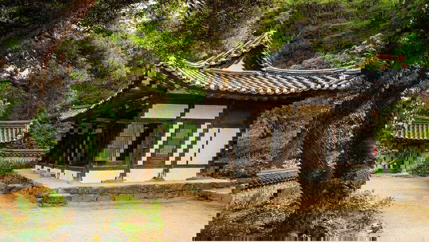 South Korea Highlights