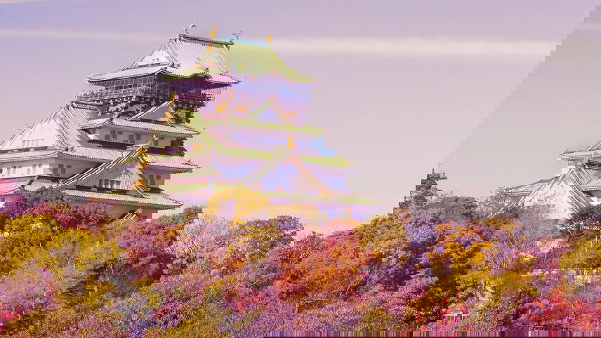 Southern Japan Experience