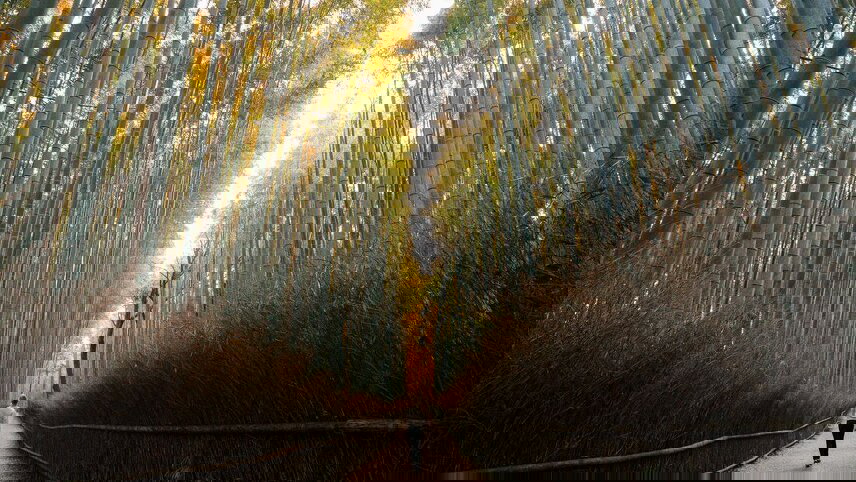 Japan: Land of the Rising Sun