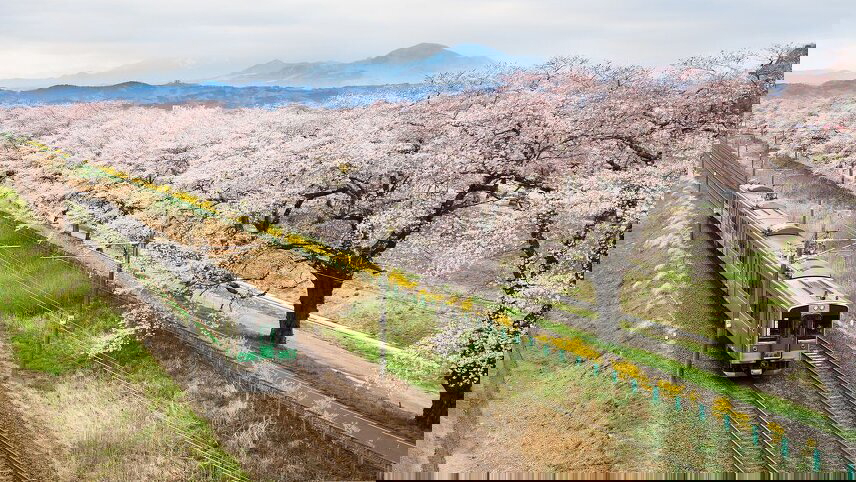 Japan: Land of the Rising Sun