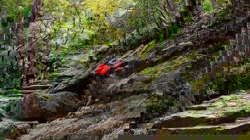 8 Day Japan: Koya-san & Kumano Kodo Trek (Intrepid)