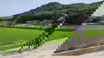 9 Day Cycle South Korea (Intrepid)