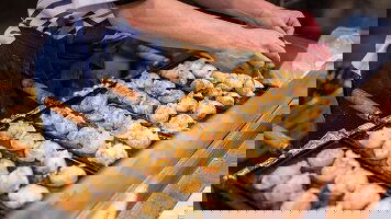 11 Day Japan Real Food Adventure (Intrepid)